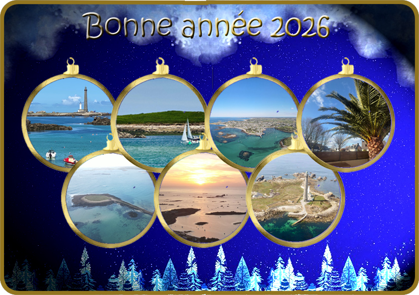 Meilleurs Vœux 2026